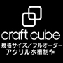 CRAFT-CUBE